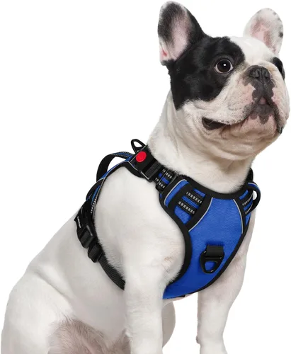 Miniatura 35 de rabbitgoo Arnés para perro de tamaño pequeño, arnés para mascotas sin tirones con mango acolchado suave, chaleco reflectante ajustable con 3