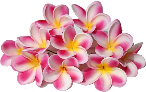 Miniatura 12 de 10 flores de plumeria artificiales de tacto real natural con tallos para fiestas temáticas hawaianas, un ramo de boda en la playa, decoración