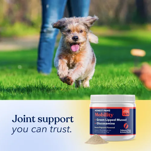 Miniatura 6 de Honest Paws Glucosamina para perros - Suplemento en polvo para articulaciones y movilidad con mejillón de labios verdes, aceite de pescado y MSM