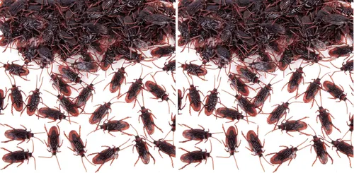 Miniatura 9 de LovesTown 150 unidades de cucarachas falsas, juguetes de broma de Halloween de plástico, decoración para fiesta en casa, trucos divertidos