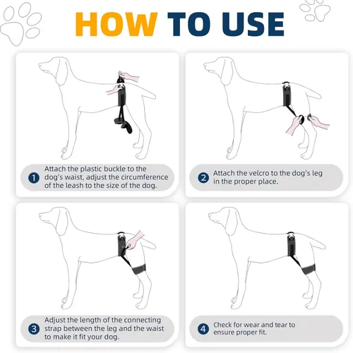 Miniatura 5 de Soporte de cadera para perro – Arnés de apoyo para displasia de cadera, alivio del dolor en las articulaciones, evita problemas