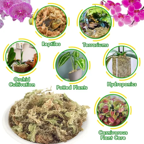 Miniatura 6 de ZeeDix Musgo Sphagnum de 4 cuartos para plantas de interior, musgo de fibra larga seca natural para trasplante de orquídeas, plantas carnívoras
