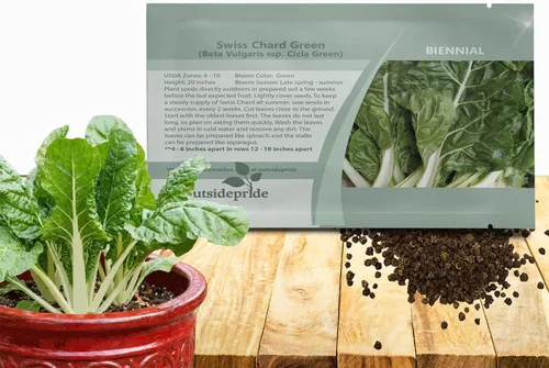 Outsidepride Semillas de acelgas verdes para plantar verduras y microverdes, 1000 piezas de semillas vegetales bienales vibrantes, sabrosas y