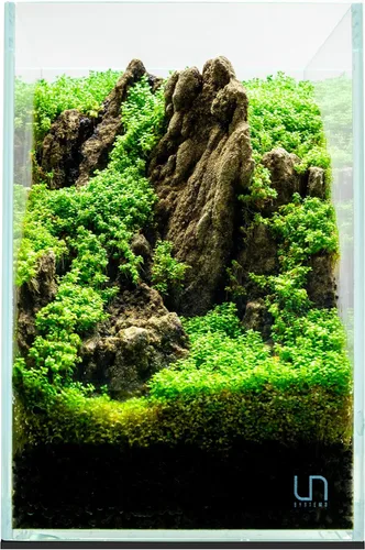 Miniatura 40 de UNS Acuario Ultra Claro Sin Borde - 25.6GAL 97.2L - 23.62x14.17x17.71 60x36x45 CM, Grosor de Vidrio de 6mm, Incluye Alfombrilla Nivelante
