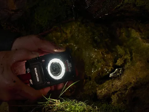 Miniatura 4 de OLYMPUS Guía de luz LED LG-1