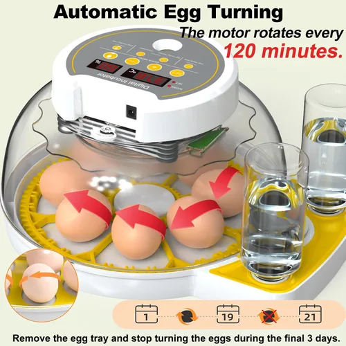 Miniatura 3 de Incubadoras de huevos para incubar huevos, incubadora de huevos de pollo 8/30 con giro automático de huevos, control de temperatura y pantalla