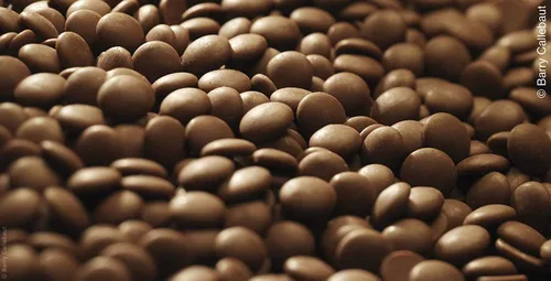 Miniatura 5 de Callebaut Callets de Chocolate Belga Oscuro Cobertura Semidulces, 54.5% - 5.5 Libras