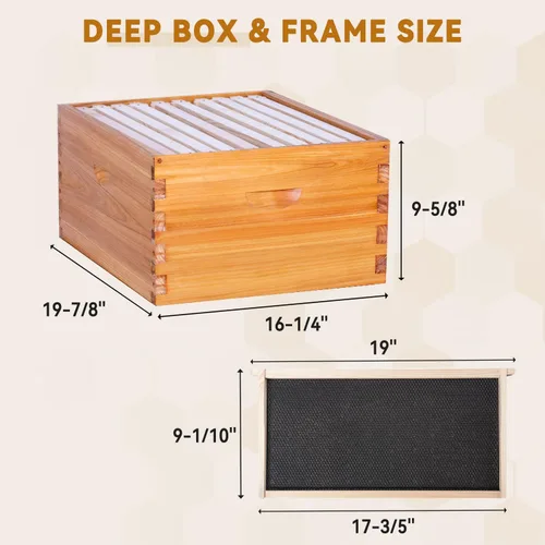Miniatura 5 de POLLIBEE Colmena de abejas de 10 marcos, kit de colmena recubierta de cera de abeja para el cuidador de abejas, colmena completa incluye 1 caja