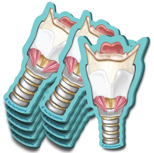 Miniatura 7 de Notas Adhesivas de Anatomía