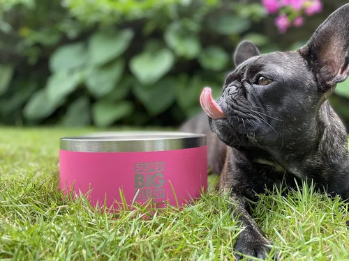Miniatura 8 de Tuff Pupper Cuenco de acero inoxidable aislado resistente de 100 onzas para perros grandes, base antideslizante, apto para lavavajillas Rosa Punch