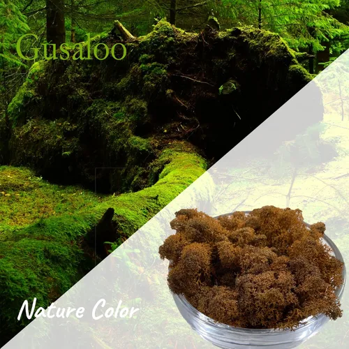 Miniatura 2 de Musgo artificial conservado, musgo natural fresco verde de reno para proyectos de artes florales, decoración de pared, decoración de mesa, centros