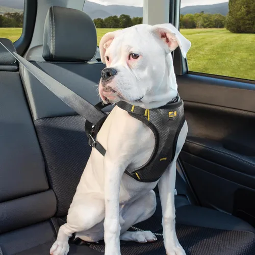 Miniatura 6 de Kurgo Arnés de automóvil para perro de impacto, arnés de automóvil para perro a prueba de choques, arnés de seguridad para perros, arnés de cinturón