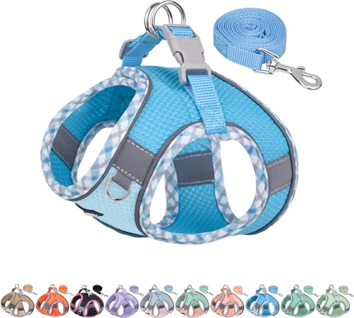 Miniatura 17 de AIITLE Arnés y Correa para Perro XXS - Arnés Pequeño para Perro Reflectante y sin Tirones, Transpirable para Cachorros Taza, Uso en Negro