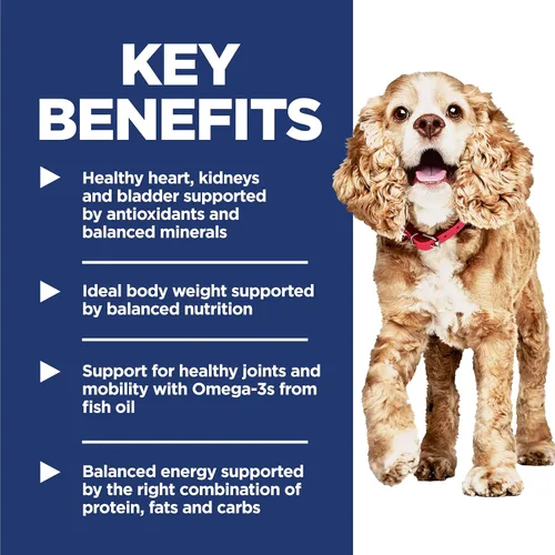 Miniatura 4 de Alimentos secos para perros de raza pequeña y mini, de Hill’s Science Diet, Adultos 11+