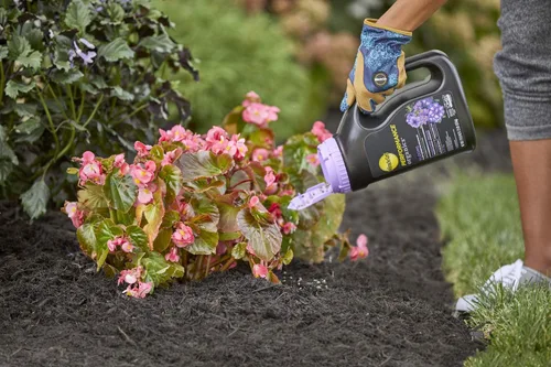 Miniatura 5 de Miracle-Gro Performance Organics Blooms - Gránulos nutricionales para plantas, alimentos para plantas con ingredientes naturales y orgánicos