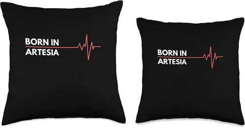 Miniatura 3 de Made In Artesia New Mexico Co. Inc. Made in Artesia New Mexico City of Birth Birthplace - Almohada de 16 x 16 pulgadas, multicolor