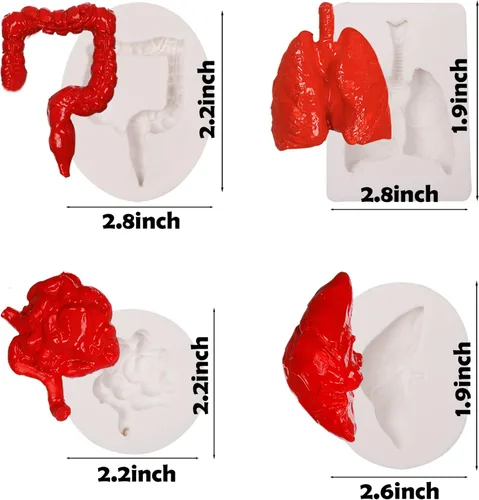 Miniatura 2 de Moldes de silicona para órganos humanos, 8 unidades para Halloween, corazón, cerebro, hígado, estómago intestinal, moldes de fondant de chocolate