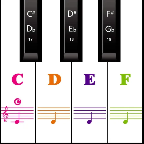 Etiquetas de piano removibles – Pegatinas para teclado de piano para principiantes, etiquetas de teclas de piano reutilizables y protectoras,