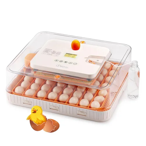 iPettie Nestasy ProHatch56 - Incubadora de huevos con giro automático de huevos y control de temperatura y humedad, capacidad para 56 huevos para