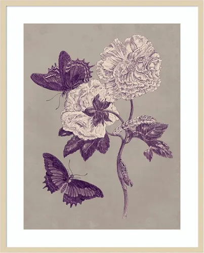 Miniatura 6 de Amanti Art Lienzo decorativo para pared, 24 x 20 pulgadas, estudio de la naturaleza en ciruela y gris pardo IV por Maria Merian, arte de pared