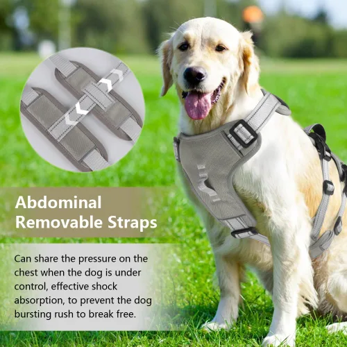 Miniatura 5 de FEimaX Arnés para perro sin tirones, chaleco acolchado suave para perro con 3 clips para la correa y asa de fácil control, reflectante ajustable sin