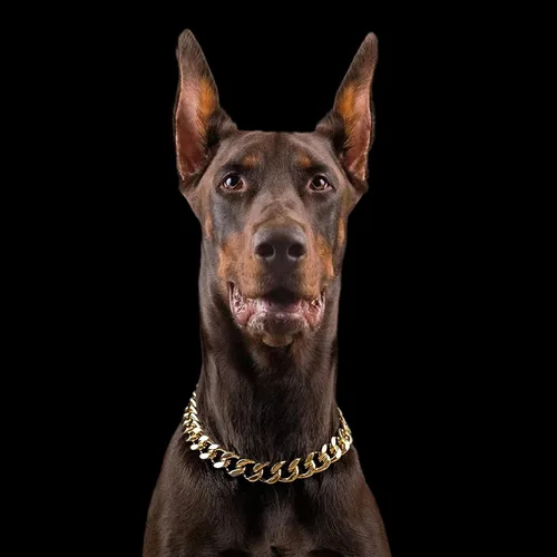 Miniatura 3 de Collar de cadena de oro para perro, collar de cadena de metal de 18 quilates, collar de perro con eslabones cubanos con diseño de hebilla segura