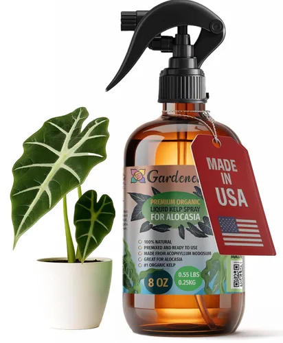 Miniatura 21 de GARDENERA Spray orgánico profesional de algas marinas para plantas AGLAONEMA – 8 oz – Rocío fertilizante de algas marinas y algas marinas totalmente