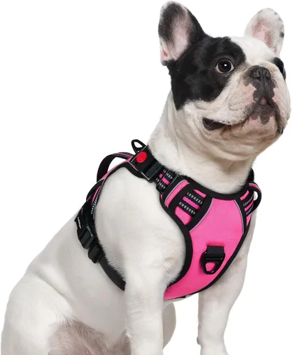 Miniatura 36 de rabbitgoo Arnés para perro de tamaño pequeño, arnés para mascotas sin tirones con mango acolchado suave, chaleco reflectante ajustable con 3