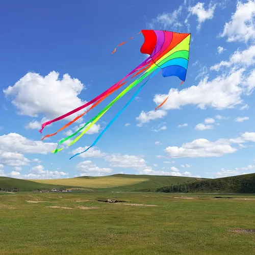 Miniatura 5 de Cometa de mariposa de 53 pulgadas con líneas voladoras fácil de volar para niños y adultos