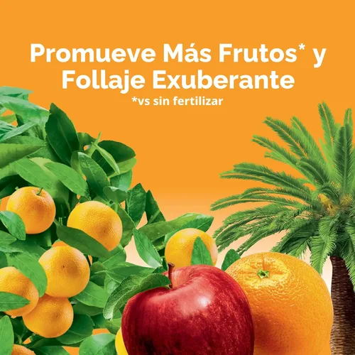 Miniatura 7 de Barras fertilizantes 100396 de Miracle-Gro para árboles frutales y cítricos, paquete de 12, 12