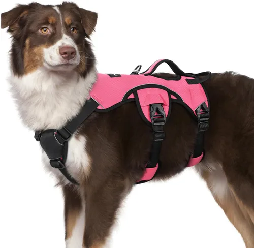 Miniatura 11 de rabbitgoo - Arnés para perro a prueba de fugas, arnés para mascotas acolchado suave de cuerpo completo, chaleco reflectante ajustable sin tirones