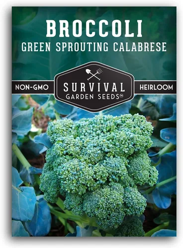 Green Sprouting - Semillas de brócoli Calabrese para plantar, variedad de reliquia para huertos domésticos, cultivo de alto rendimiento, clima