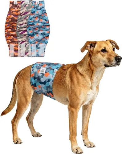 Miniatura 11 de CuteBone - Pañales lavables para perro macho, banda abdominal, paquete de 3 unidades, color negro, modelo DM54XS
