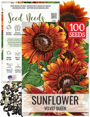Miniatura 31 de Seed Needs Semillas de girasol para plantar girasoles de manchas solares enanas, semillas de flores de corte anual de polinización abierta