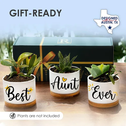Miniatura 2 de Rosa Vila Macetero para tía, regalo único para la mejor tía de parte de sobrina y sobrino, juego de regalo de maceta para tía, regalo ideal