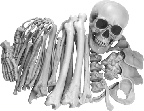Miniatura 9 de 15 huesos de esqueleto para decoración de Halloween, huesos de plástico, accesorios de terror para decoración de huesos de calavera de tamaño real