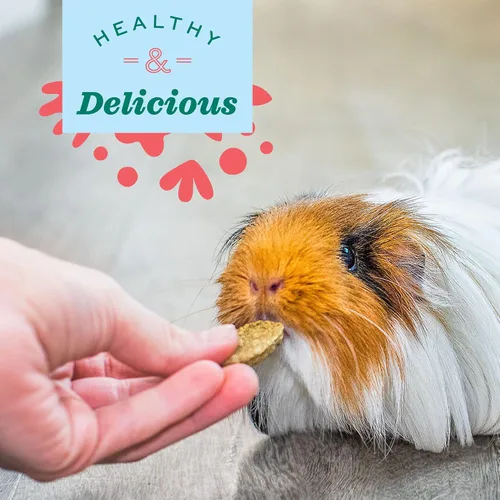 Miniatura 5 de Oxbow Animal Health Suplemento de Vitamina C Natural Science, Vitamina C para Cobaya, Hecho con Heno Timothy de Oxbow, Suplementos para Mascotas