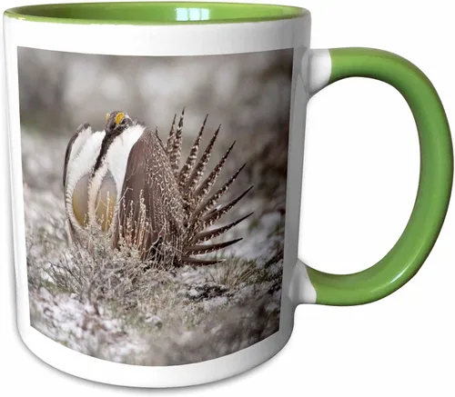 Miniatura 17 de 3dRose Taza de café, tamaño – 11oz – Faro de Cabo Blanco SP, Port Orford Oregon – US38 MGI0164 – Mark Gibson Lighthouses – divertido regalo de taza