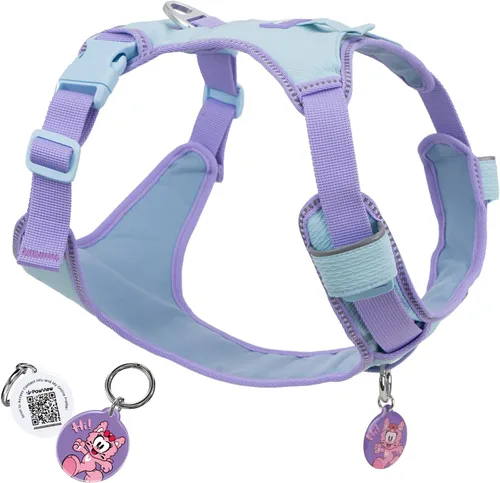 Arnés para perro sin tirones a prueba de fugas para perros pequeños y cachorros, chaleco ligero ajustable con clip frontal y trasero, bolsillo y