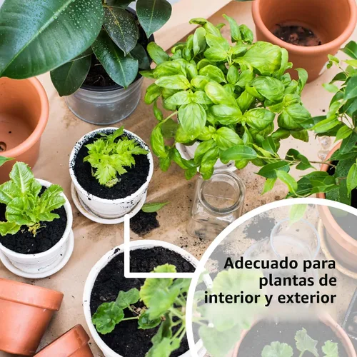 Miniatura 5 de Solución de vitaminas vegetales SUPERthrive, 1 galón, transparente