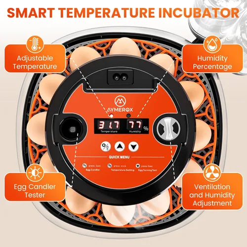 Miniatura 3 de Incubadora de 12 huevos para incubar, pollo, pato, codorniz y ganso, girador automático de huevos, control de temperatura y humedad, pantalla LED