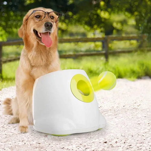 Miniatura 6 de ALL FOR PAWS Pelotas de tenis interactivas Super Bounce para perros, juguetes seguros para mascotas para ejercicio y entrenamiento, 2.5 pulgadas