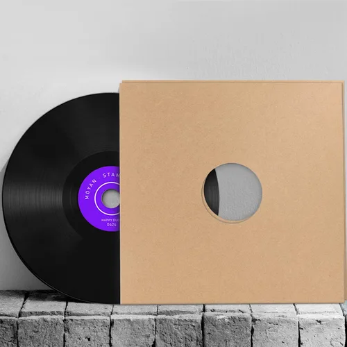 Miniatura 4 de Facmogu 10 piezas de 30,48 cm de fundas para discos de vinilo LP, fundas de discos de vinilo de cartón de 350 g/m² con acabado kraft, fundas