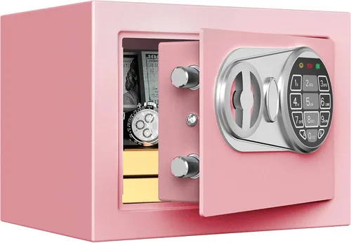 Goldenkey Pequeña caja fuerte para dinero, caja de seguridad digital para el hogar con llaves y código para dinero en efectivo y monedas, mini cajas