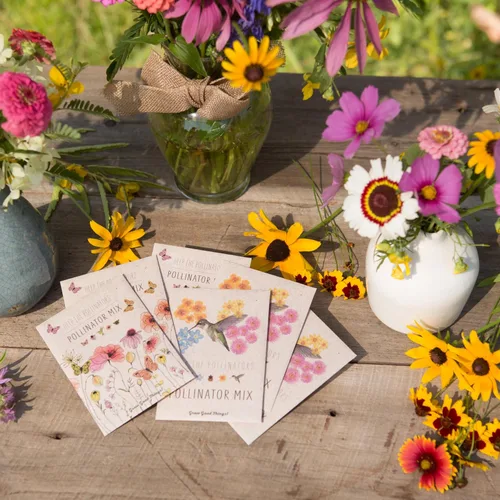 Miniatura 7 de Bentley Mezcla de Flores Silvestres, Paquetes Prellenados para Colibríes, 25 Paquetes de Flores Anuales, Regalo Ecológico Perfecto para Jardineros