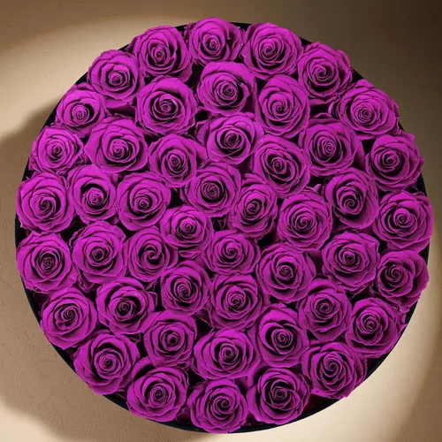 Miniatura 3 de Prifroti 17 flores en una caja de gamuza de lujo, regalos de cumpleaños para mujeres, flores preservadas, regalo de rosas para el día de la madre
