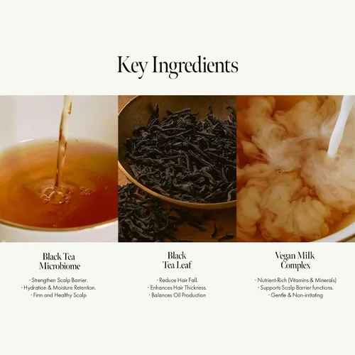 Miniatura 3 de ANILLO Black Tea - Mascarilla vegana para el cabello, tratamiento nutritivo para el cuero cabelludo, fortalece la barrera del cuero cabelludo