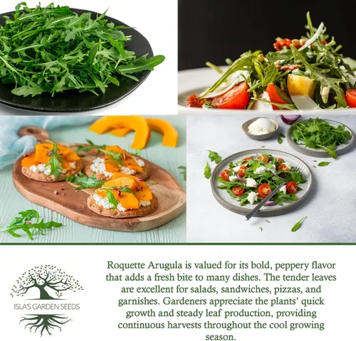 Miniatura 6 de Semillas "Roquette Rúcula" para plantar, más de 1000 semillas tradicionales por paquete, semillas sin OMG, (semillas de jardín de Isla), nombre