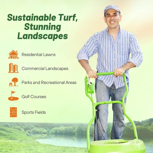 Miniatura 4 de Outsidepride Rescape Seashore Paspalum - Semilla de césped – 1 libra de temporada cálida, tolerante a la sal y la sequía, semillas de césped densas