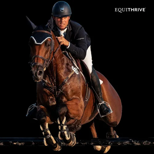 Miniatura 5 de Equithrive Suplemento original para articulaciones en polvo con resveratrol y ácido hialurónico para caballos, cuidado equino, 8 libras